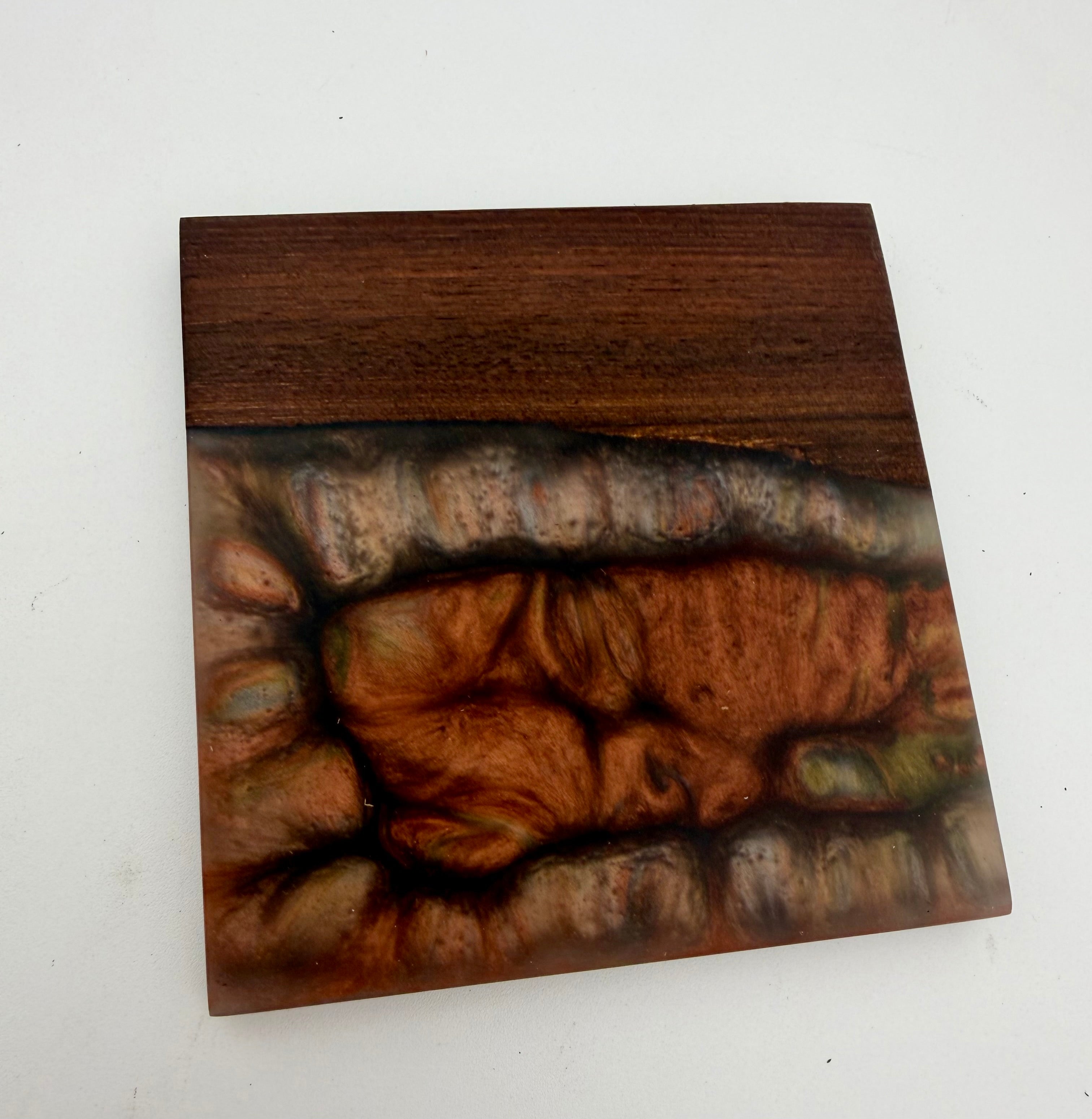 Live Edge Black Walnut and Resin Coasters, Set of 4